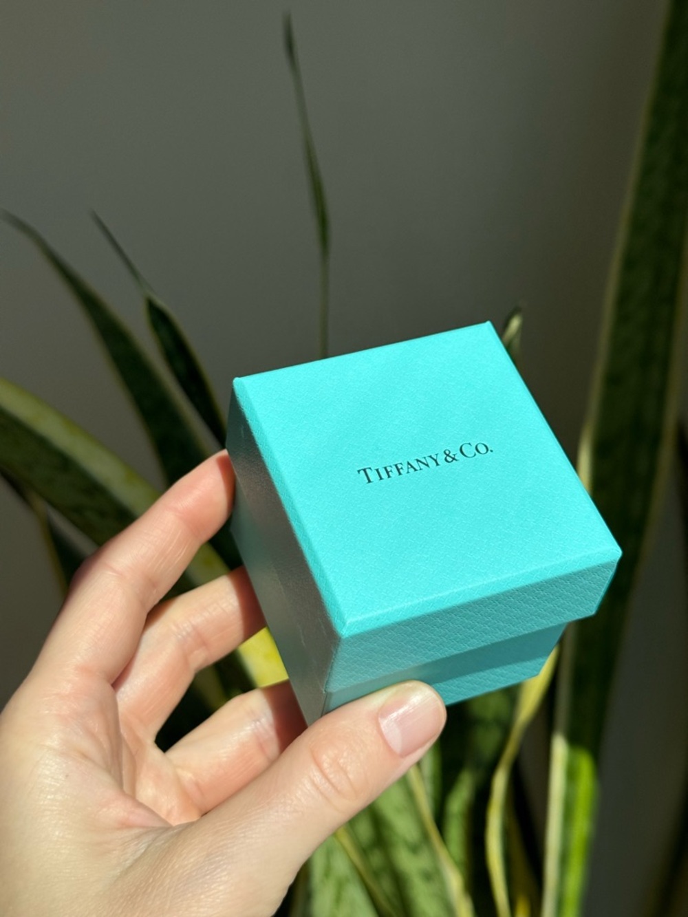 Tiffany & Co. signature blue box plus ring box